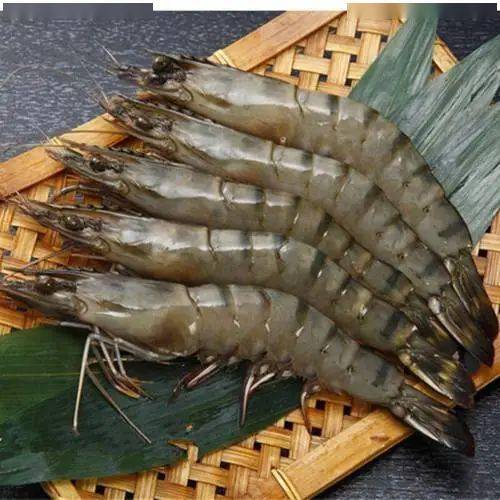 分为海水虾和淡水虾,主要的海水虾包括对虾,红虾,褐虾,明虾,琵琶虾等