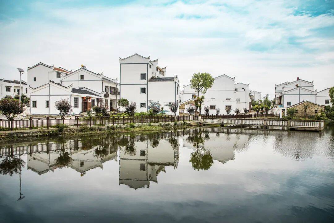 共同缔造 白塘村的乡村治理实践_村民_建设_发展