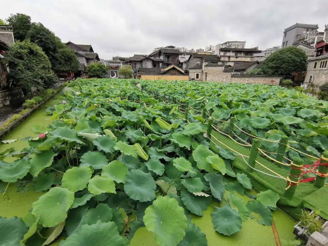 乾州古城胡家塘简介图片