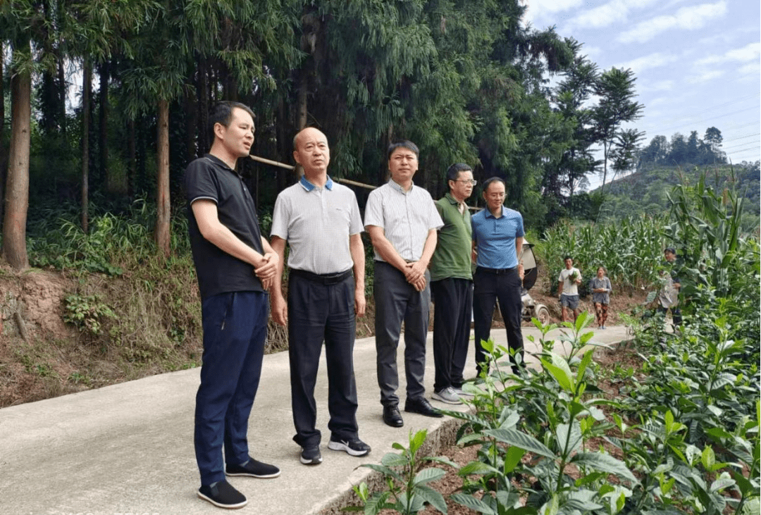 廖策军率队赴沐川县调研田长制,林长制工作_舟坝镇_保护_耕地