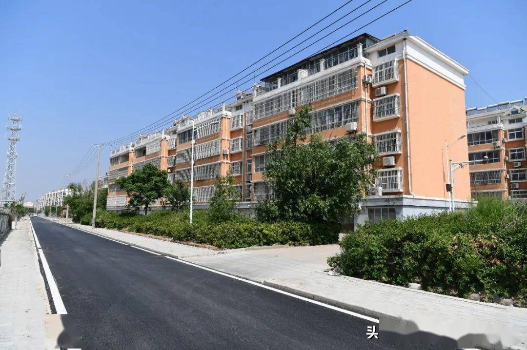 【寿光】羊口镇:小城环境越来越靓丽_道路_系统工程_标段