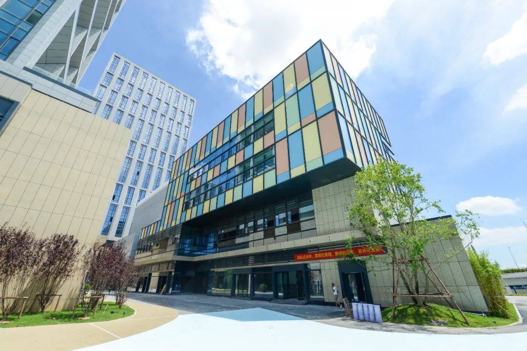 央美登陆厦门建特色高中!今秋开办,这样招生_艺术_海沧区委_文化