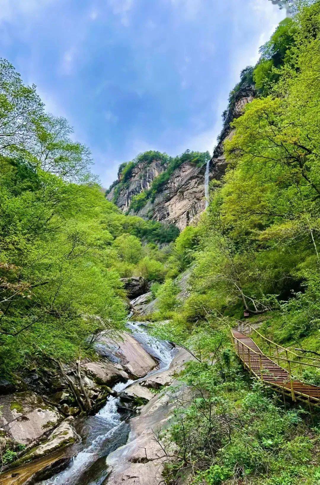 青蜂侠景区有哪些景点图片