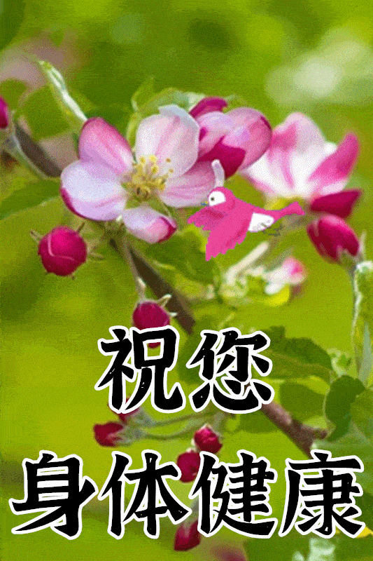 今日最新早上好图片大全,吉祥如意,一生平安!_祝福_阳光_人生