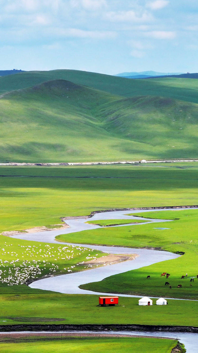 特殊美景竖屏 草原图片