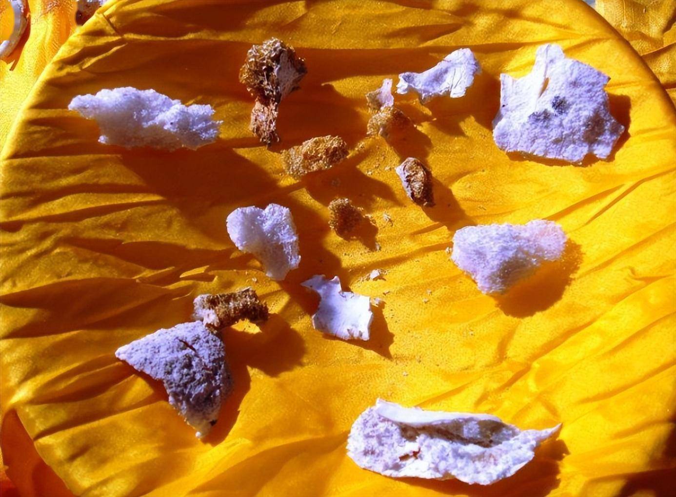 火化结束后,一个普通人的形体消失了,留下的是一些被称为"舍利子"的亮