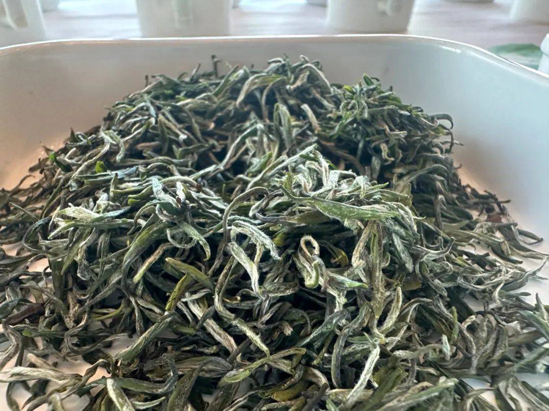 【2023襄阳高香茶斗茶大赛】"香"约斗茶赛比艺寻茶香_茶叶协会_湖北