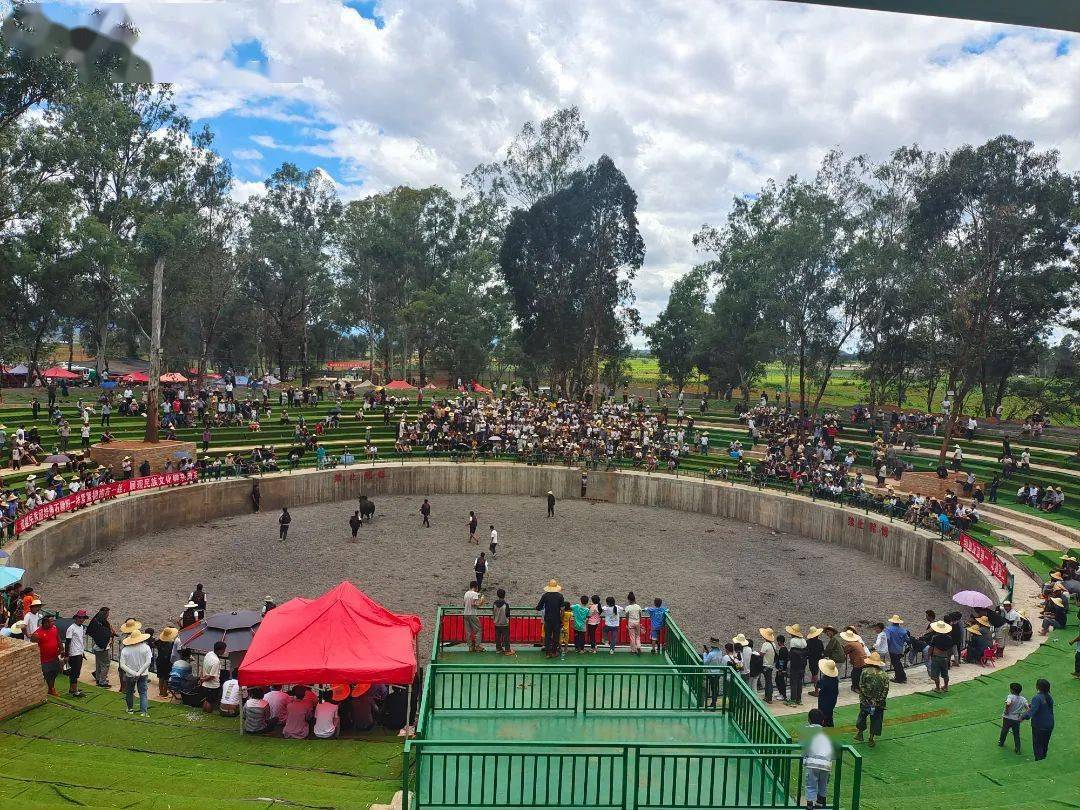 非常精彩据看了现场的观众反馈如今,它在砚山县平远镇木瓜铺小塘子村