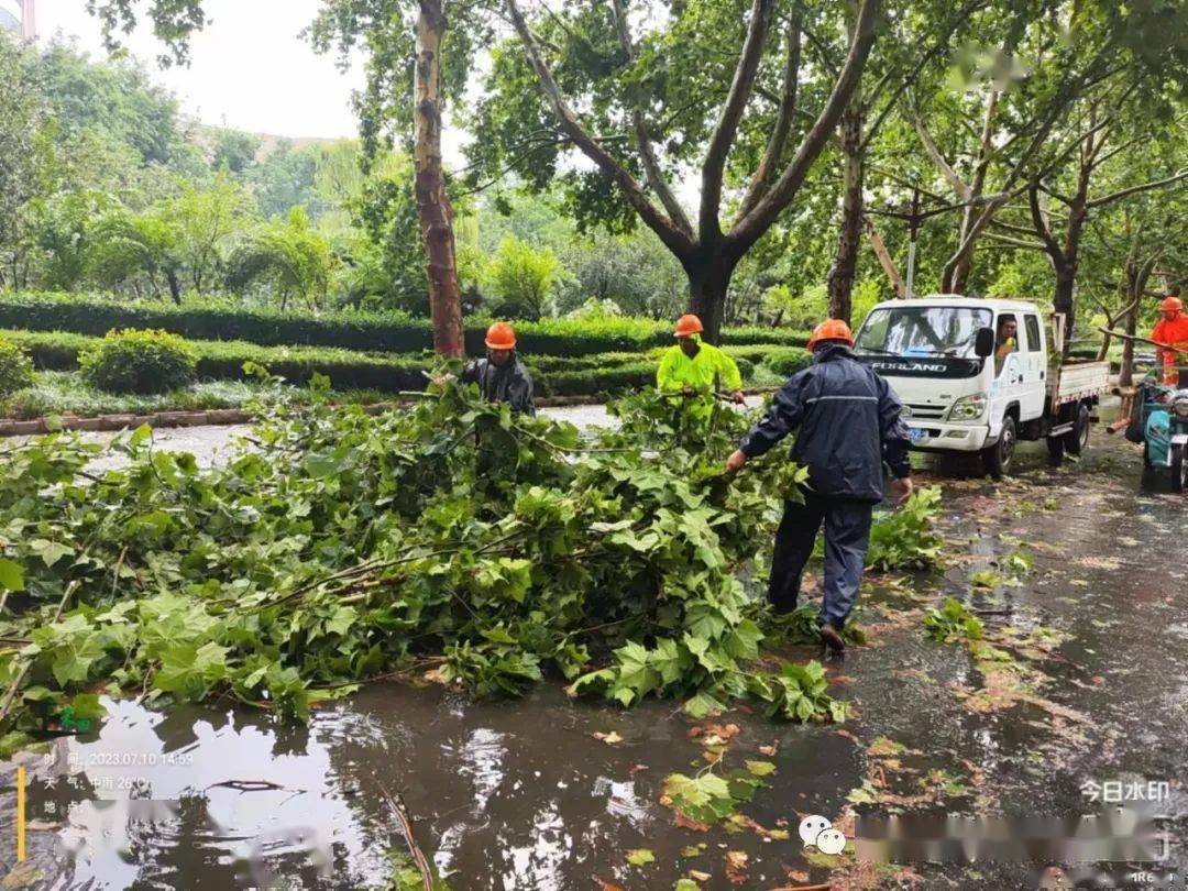 临淄区综合行政执法局市政园林环卫事务服务中心将继续加强市区巡查和