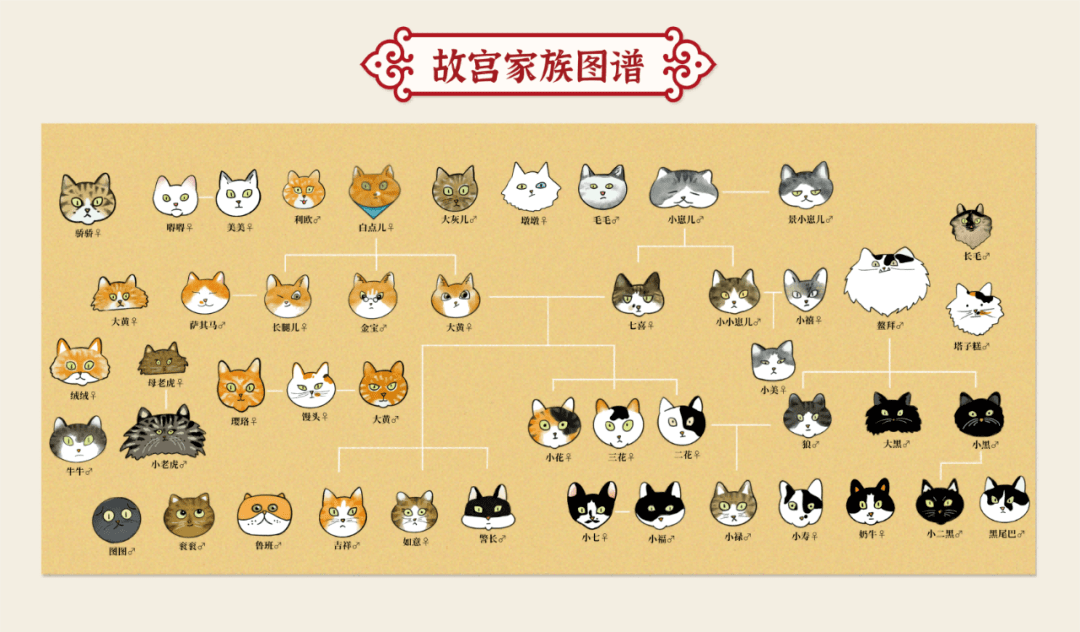 故宫的猫 名字图片