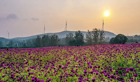 符离大道:跨越两座城市的美丽风景带_景区_旅游_宿州