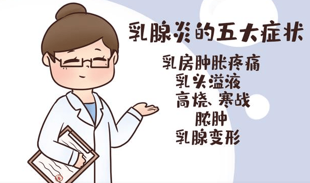 乳房_女性_回聲