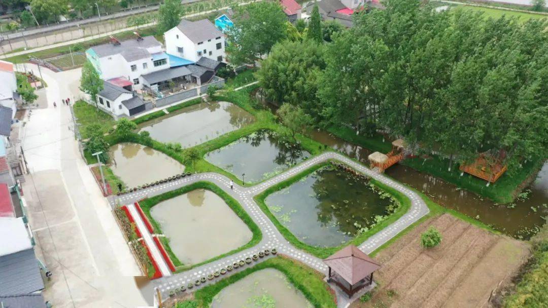 江陵县熊河镇:乡贤反哺桑梓 缔造"和美三江"_发展_建设_村民