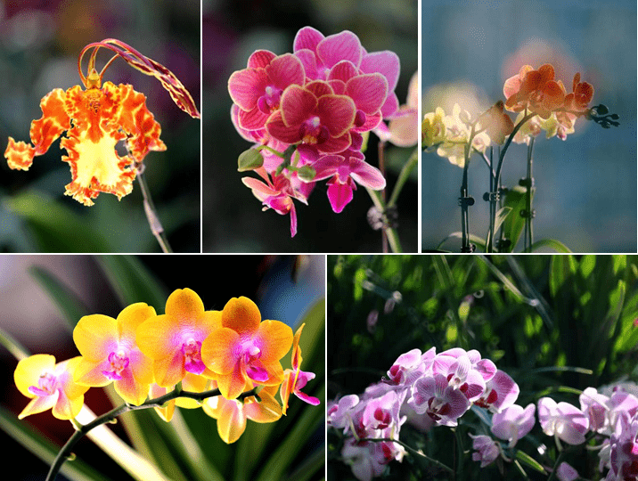 拾趣好时光|这个盛夏,来花乡沭阳感受惬意美好之旅!_地点_新河镇_夏日