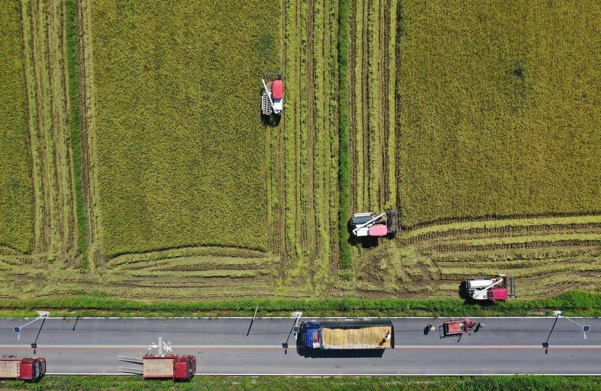 乡村周记丨梅县西部乡村旅游精品线路发布;韶关柑橘园套种玉米实