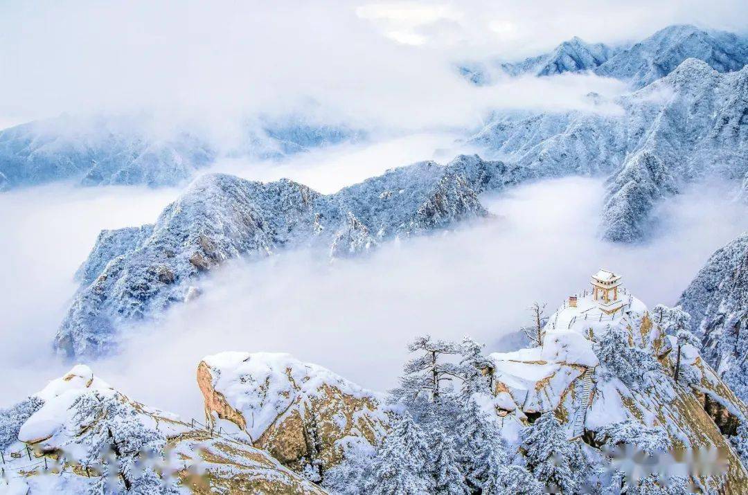 公示|"中国魂·华山情"全国摄影大赛相机组等级奖揭晓_陕西_渭南_西安