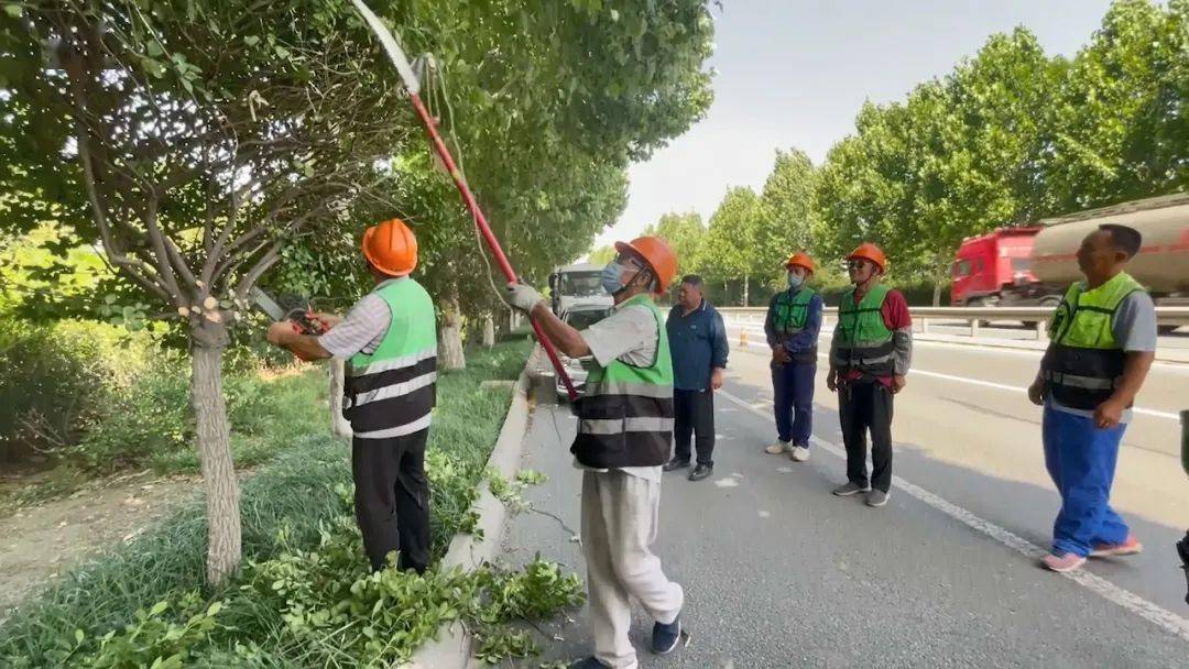对修剪效果是否达标进行巡查将采取"回头看"的方式临淄区市政园林环卫
