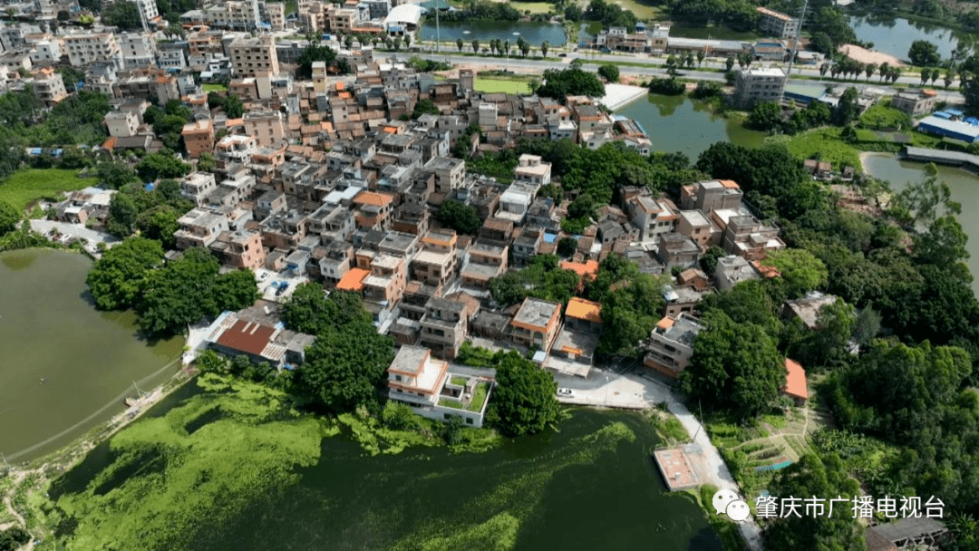 四会市东城街道:聚力"百千万工程" 打造高品质城乡人居环境_社区_居民