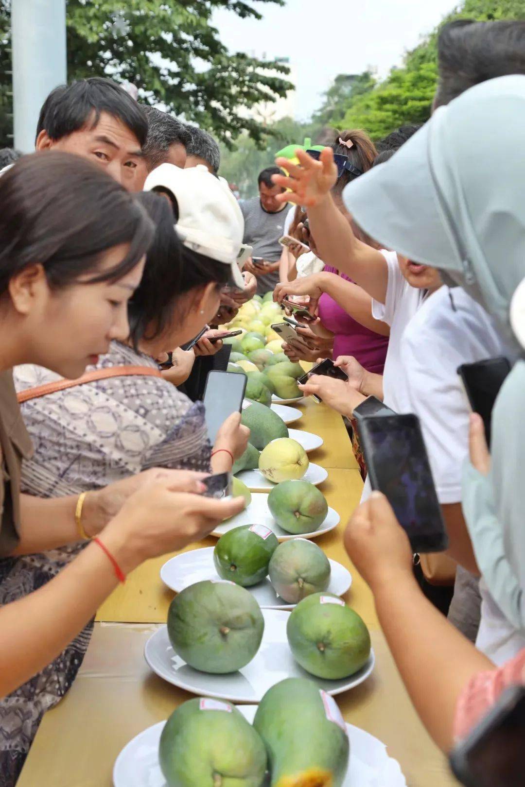 2023年永德芒果节暨首届灯光艺术展启幕_临沧市_活动_产量