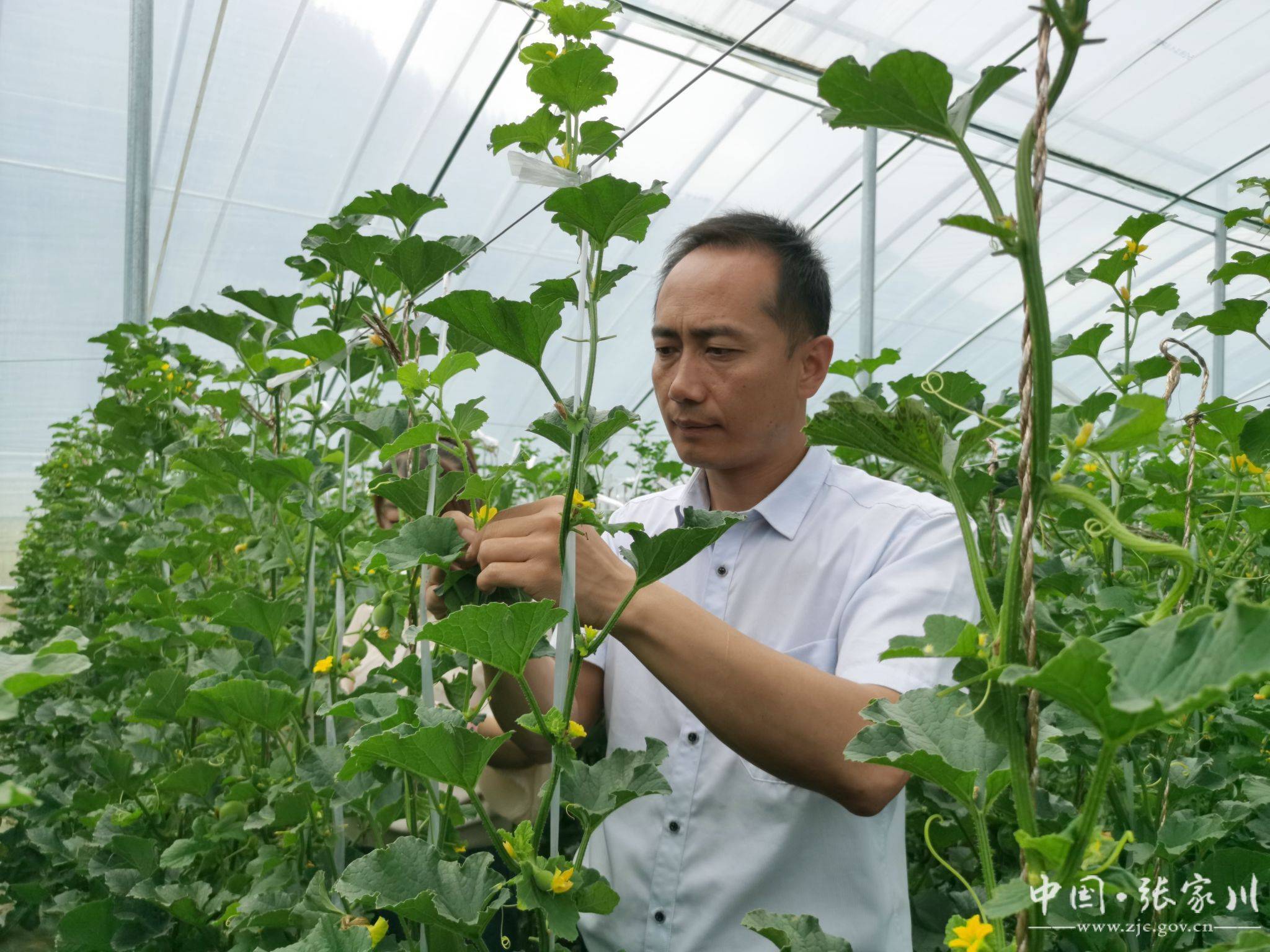 张家川县恭门镇镇长图片