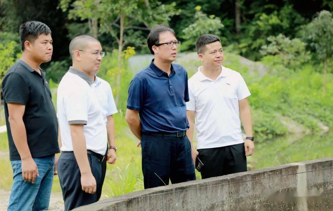 曾平深入一线调研乡村振兴等工作_发展_全南县_产业