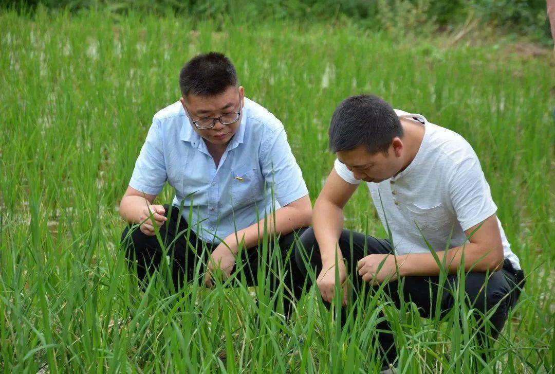 【新时代文明实践 61 党员带头】陈超:扶到关键处 帮到心坎上_清溪