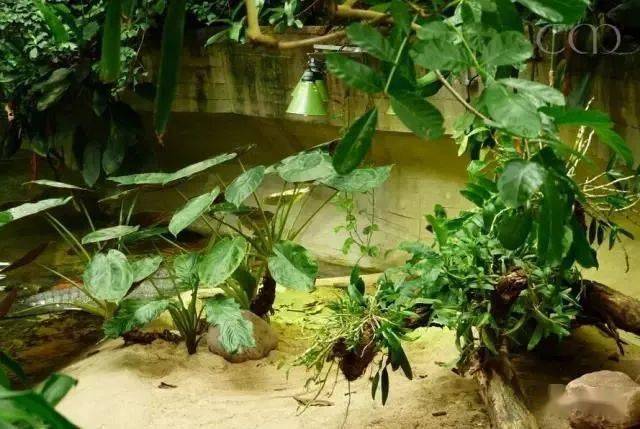 全世界不能错过的水族馆,柏林水族馆!_文章_网络_信息