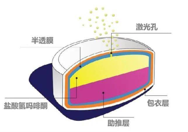 渗透泵型缓控释制剂按结构特点可分为单层,双层和多层渗透泵制剂,双层