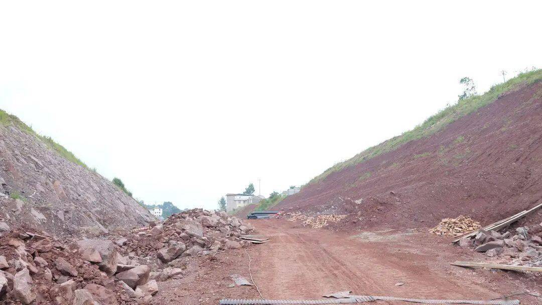 韦克修调研洪湖路道路建设情况