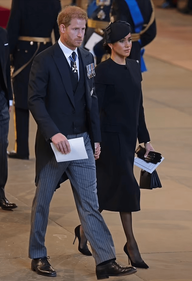 哈里王子和梅根试图在美国获得影响力_夫妇_吉尔·拜登_萨塞克斯