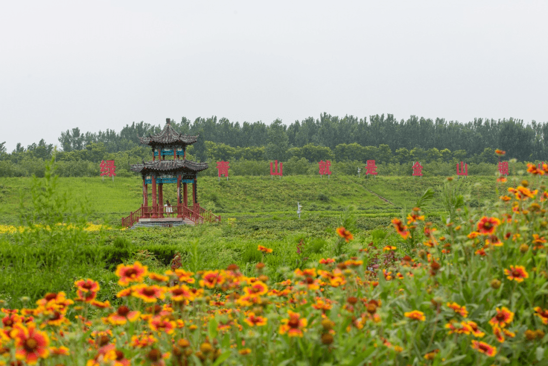 姜大鹏,现任聊城市东阿县铜城街道艾山新村艾山村网格党支部书记,曾