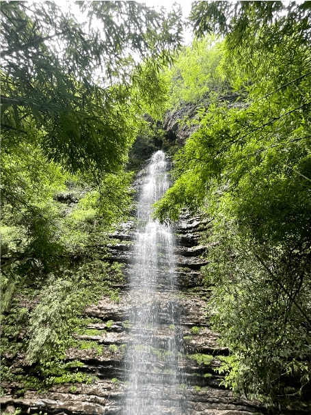 67gohiking|去山里·见天地 vol.