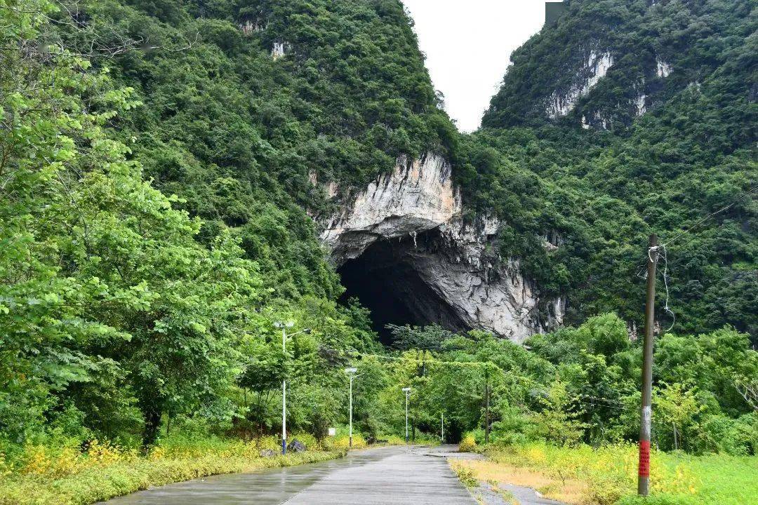 届时,举办六月六金燕文化旅游节7月22日至23日即将到来,怀集县桥头镇