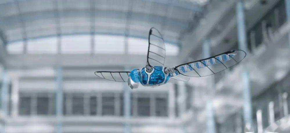 方兴未艾的扑翼仿生机器人_生物_翅膀_飞行