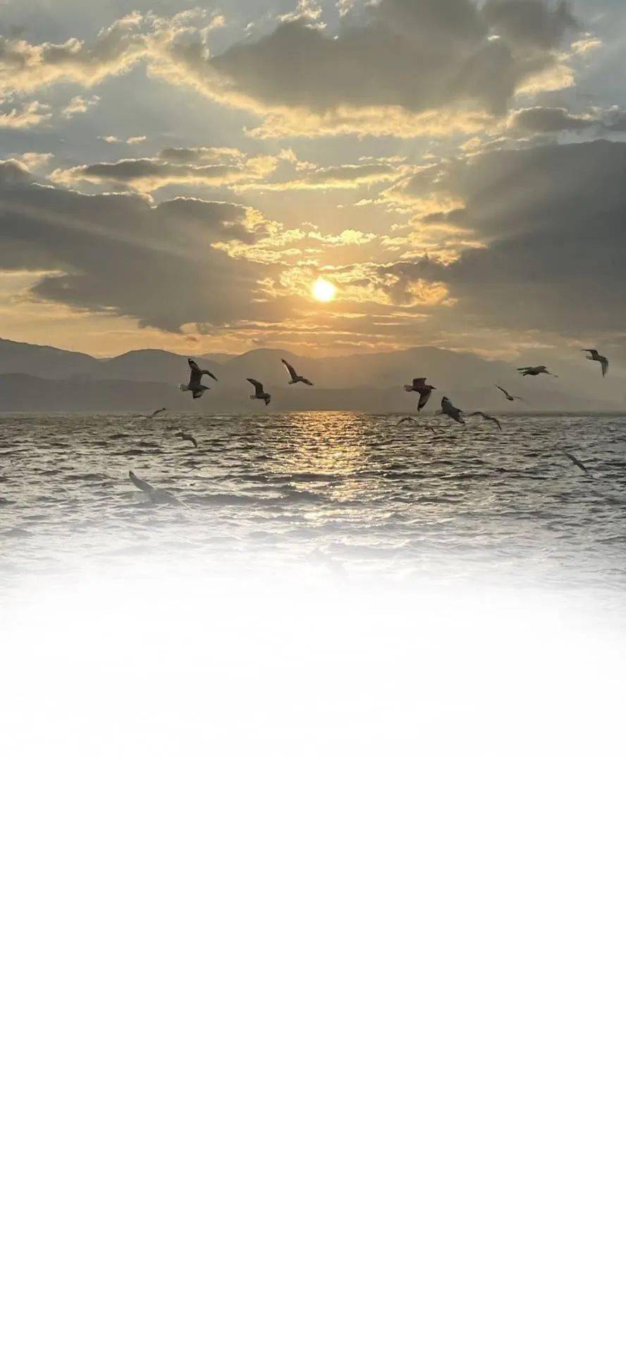 聊天背景图 | 被爱当然得记录啦