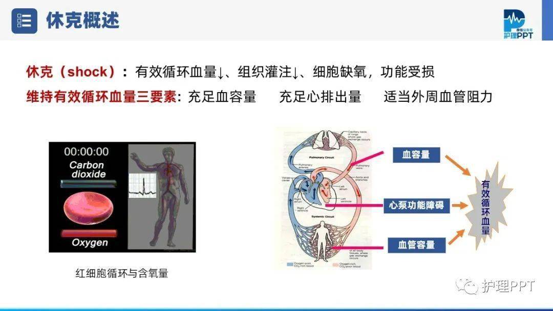 【PPT】低血容量休克护理业务学习_微信_直播_视频