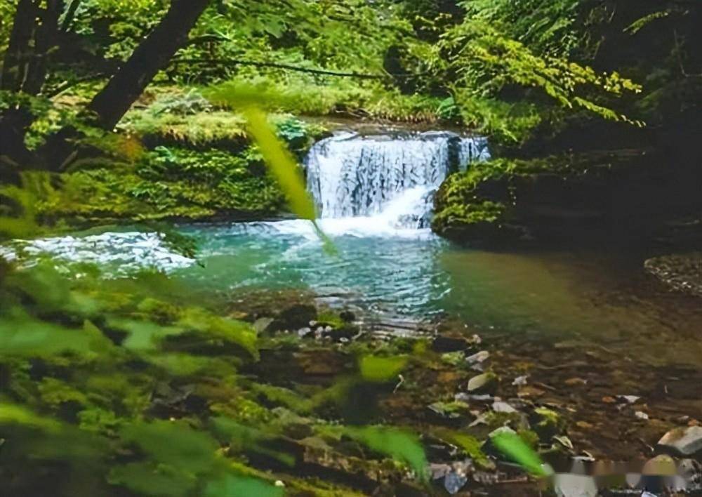 5市30余位抖音达人走进汉中黎坪景区开展采风活动_旅游_门票_人们