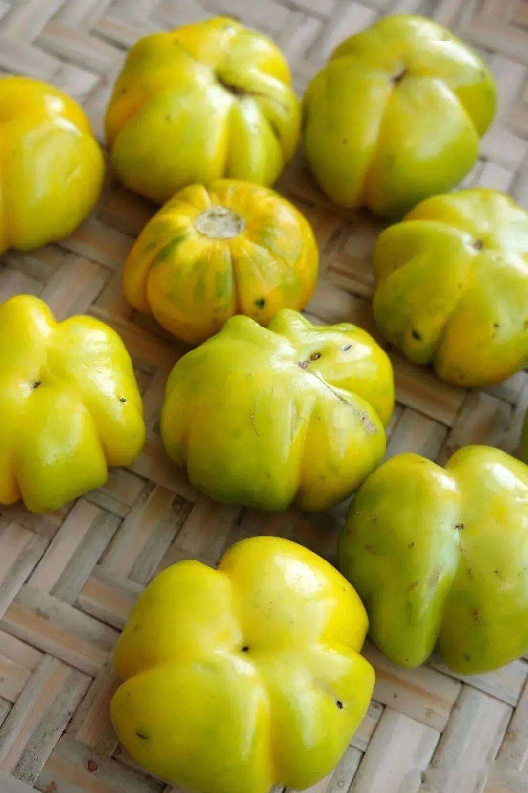 这一枚云南苦子果,味绕舌尖_集市_野菜_绿色