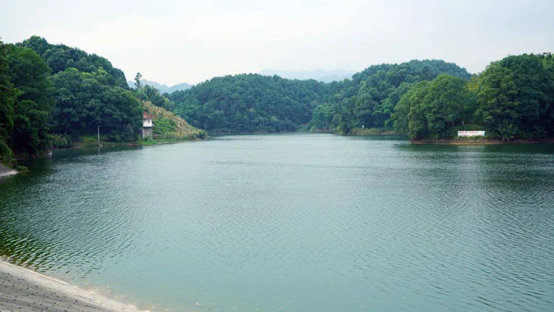 湖面碧波荡漾七仙湖四周山峦起伏,群山环绕,翠湖宛如一颗璀璨的珍珠