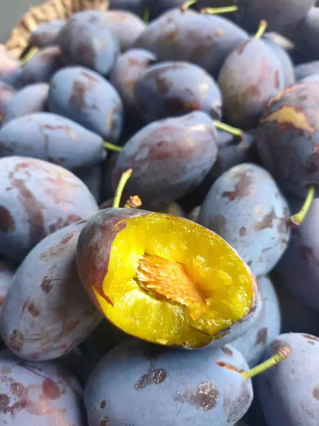 29.9抢3斤精品大果【汉源高山新鲜西梅】