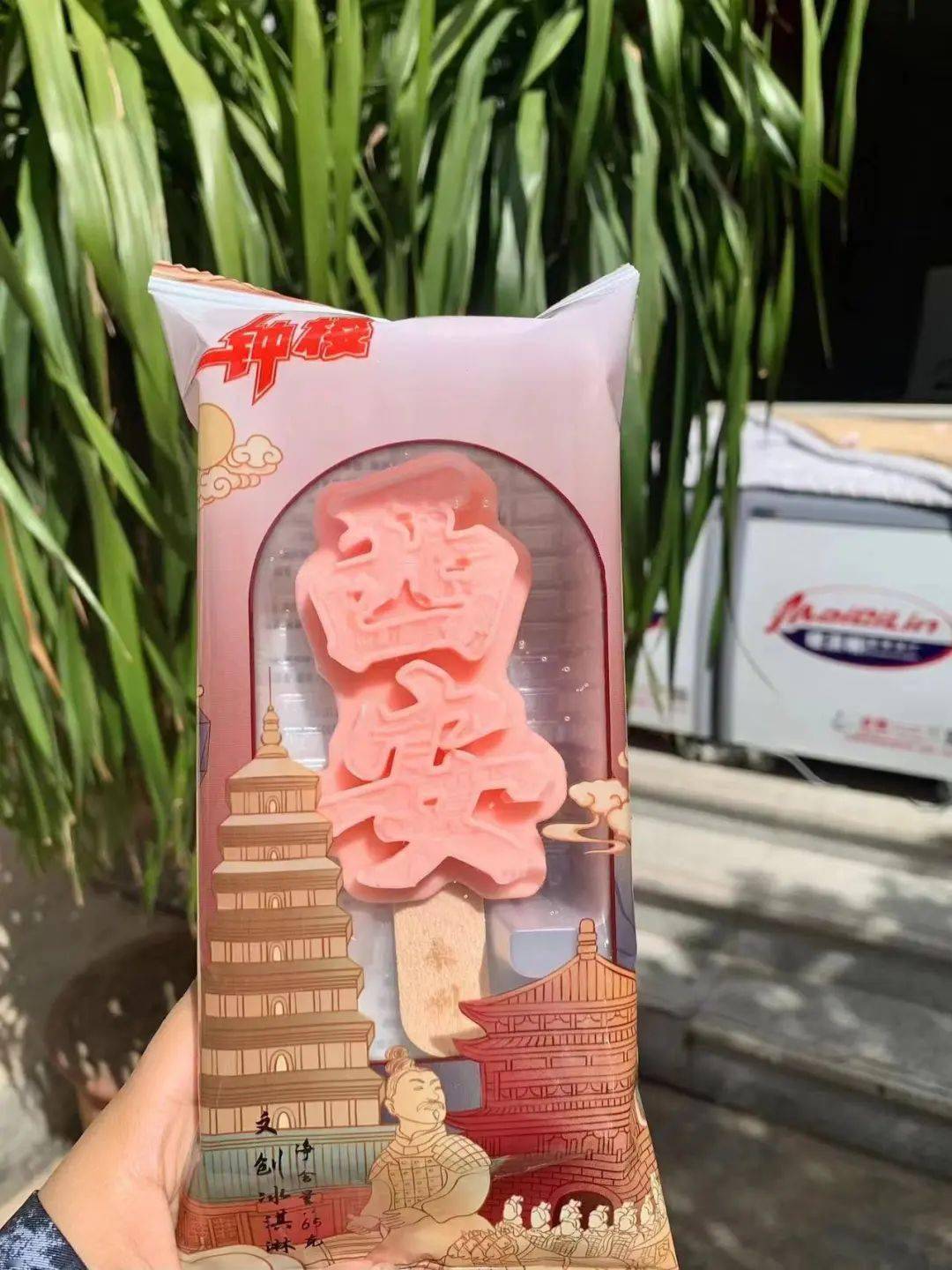 钟楼小奶糕,上新了!