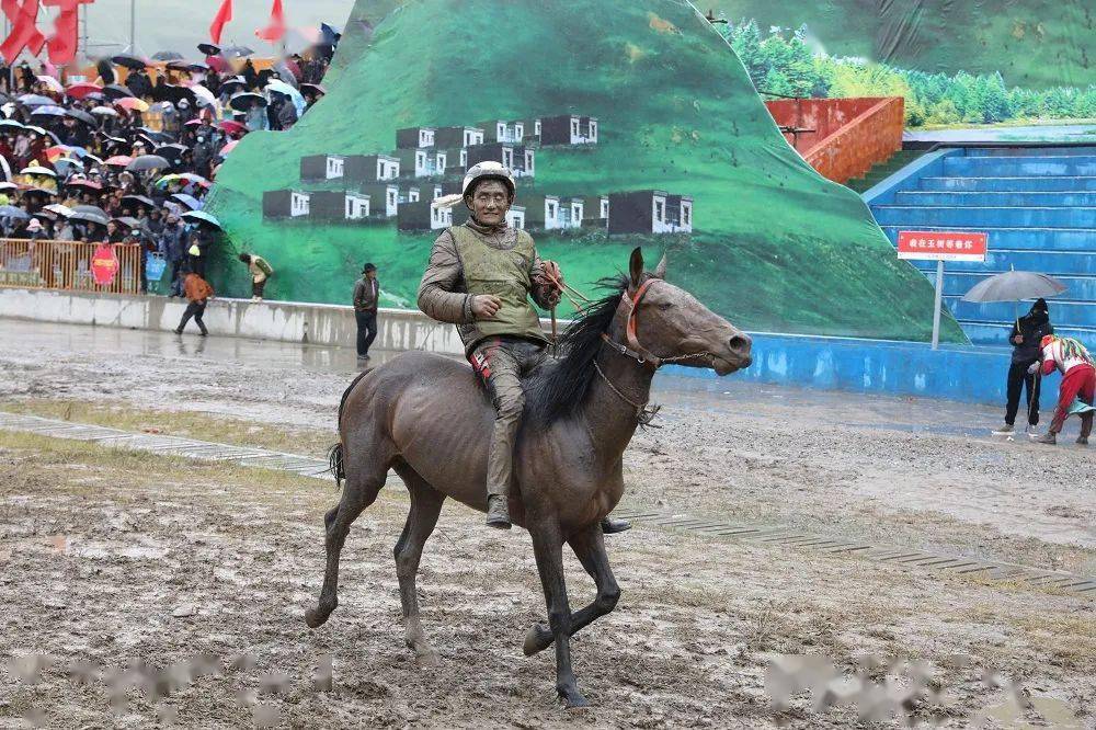 "竞"彩纷呈 "格萨尔王杯"赛马比赛激情开赛!_玉树_赛马会_旅游节
