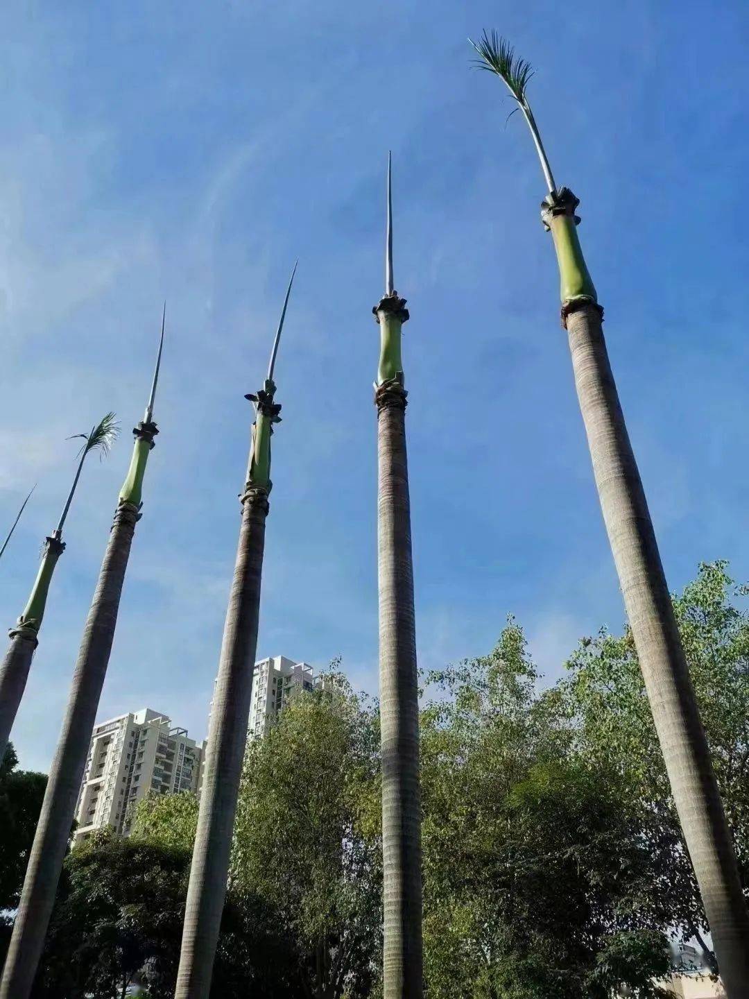 这波操作"熟练得心疼"_强台风_航班