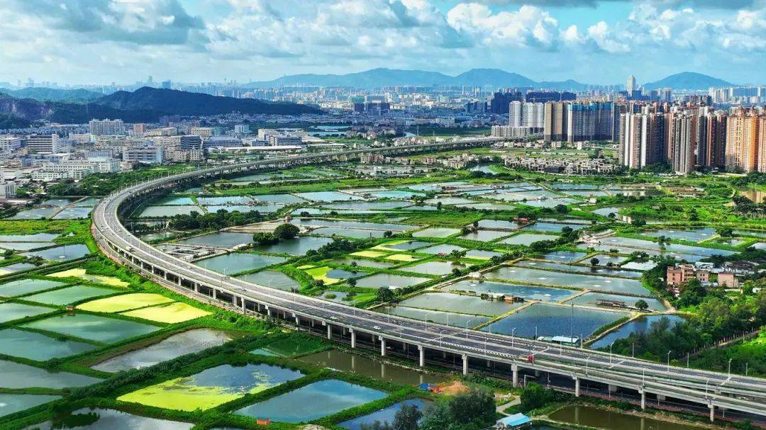 上半年三乡农林牧渔业总产值11019万元,增长13.9%_农业_养殖_建设