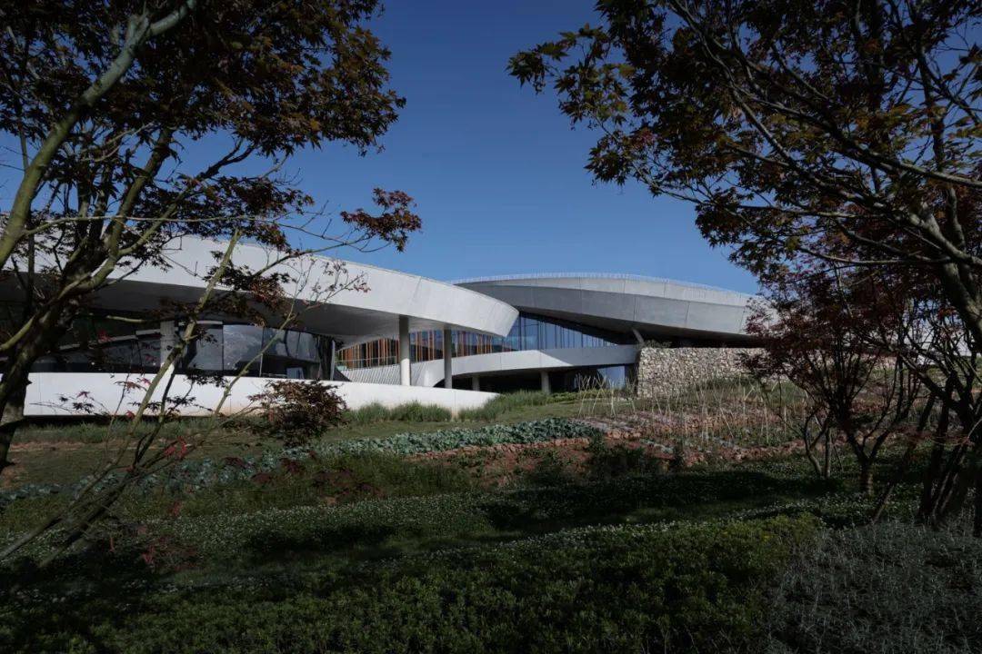 buzz庄子玉工作室新作 | 成都龙泉山镜高空平台_建筑物_空间_关系