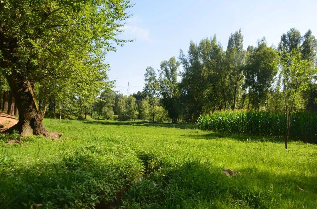 回顾| 寿山水库的源头真的好美_原平_绿色_大坝