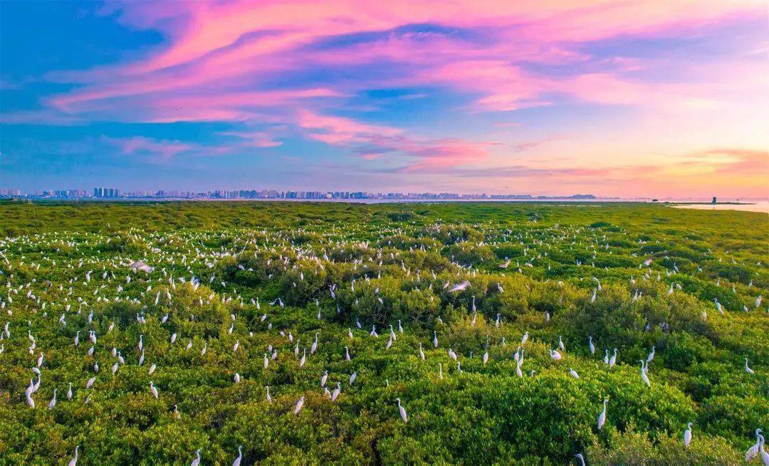 广西这些大美湿地太适合假期打卡了!玩起来!_宾阳_公园_南宁