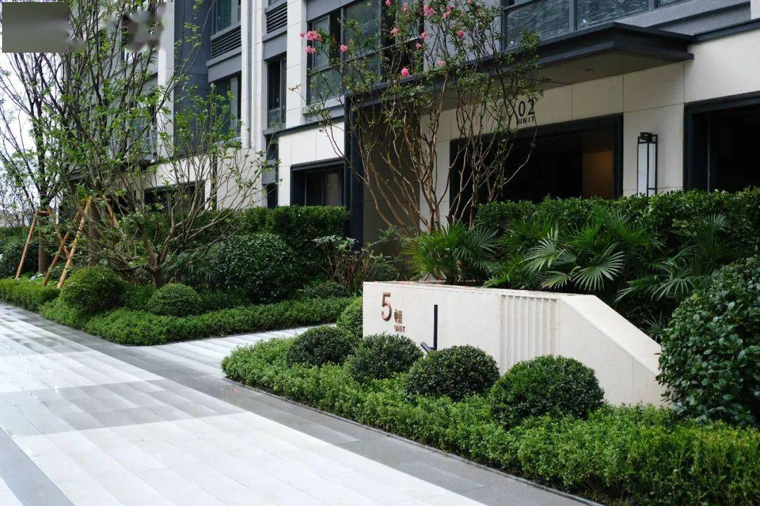 翡翠天域|美好共鉴,星园四期品质实景剧透_生活_大城_示范区