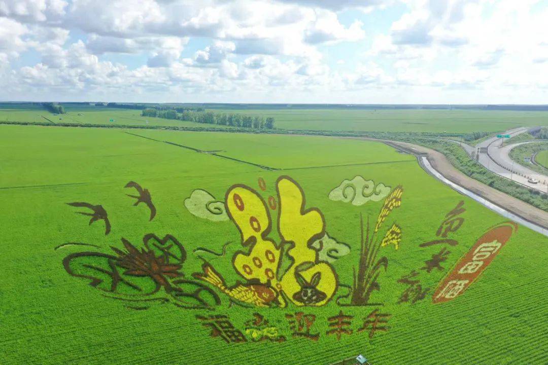 【融媒在线】生态北大荒 大美挠力河(3)_红旗岭农场_自然保护区_农业