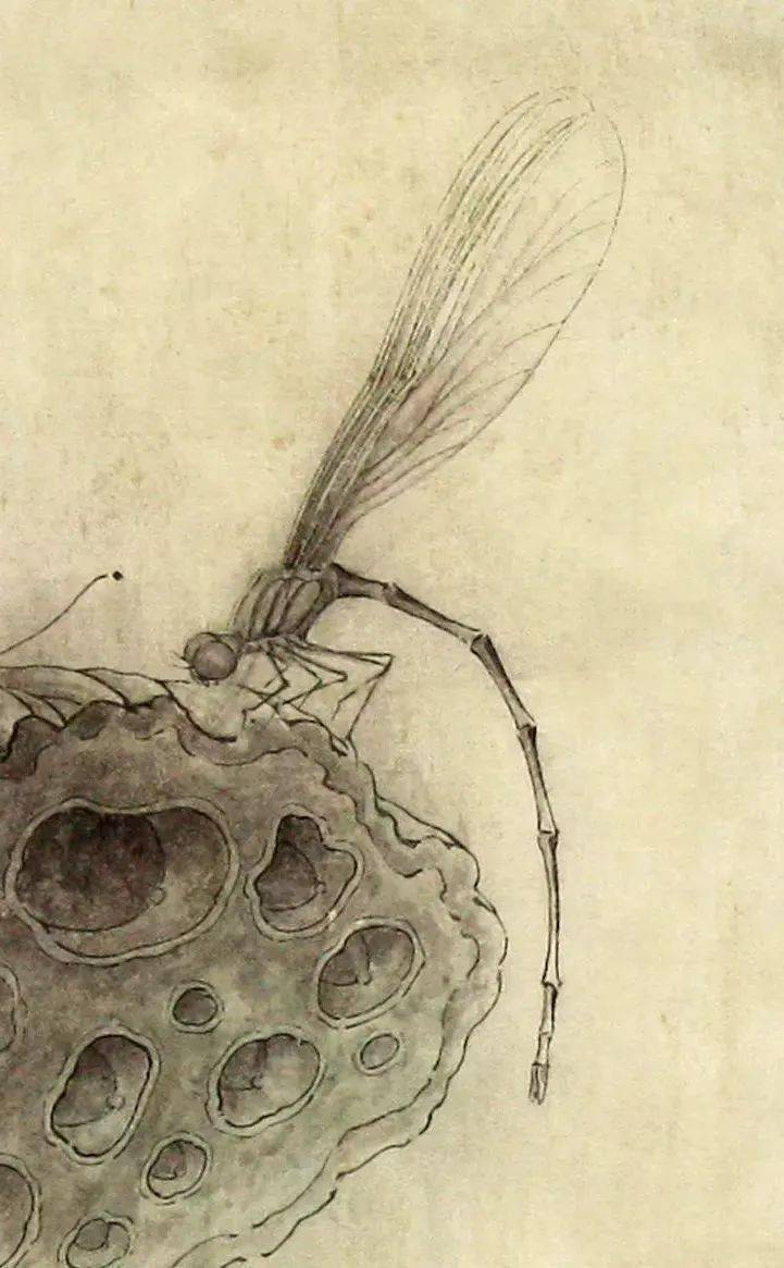 【国画教程】豆娘设色技法